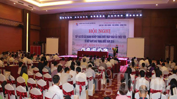 Dọn đường thông thương cho quả vải qua cửa khẩu Lào Cai